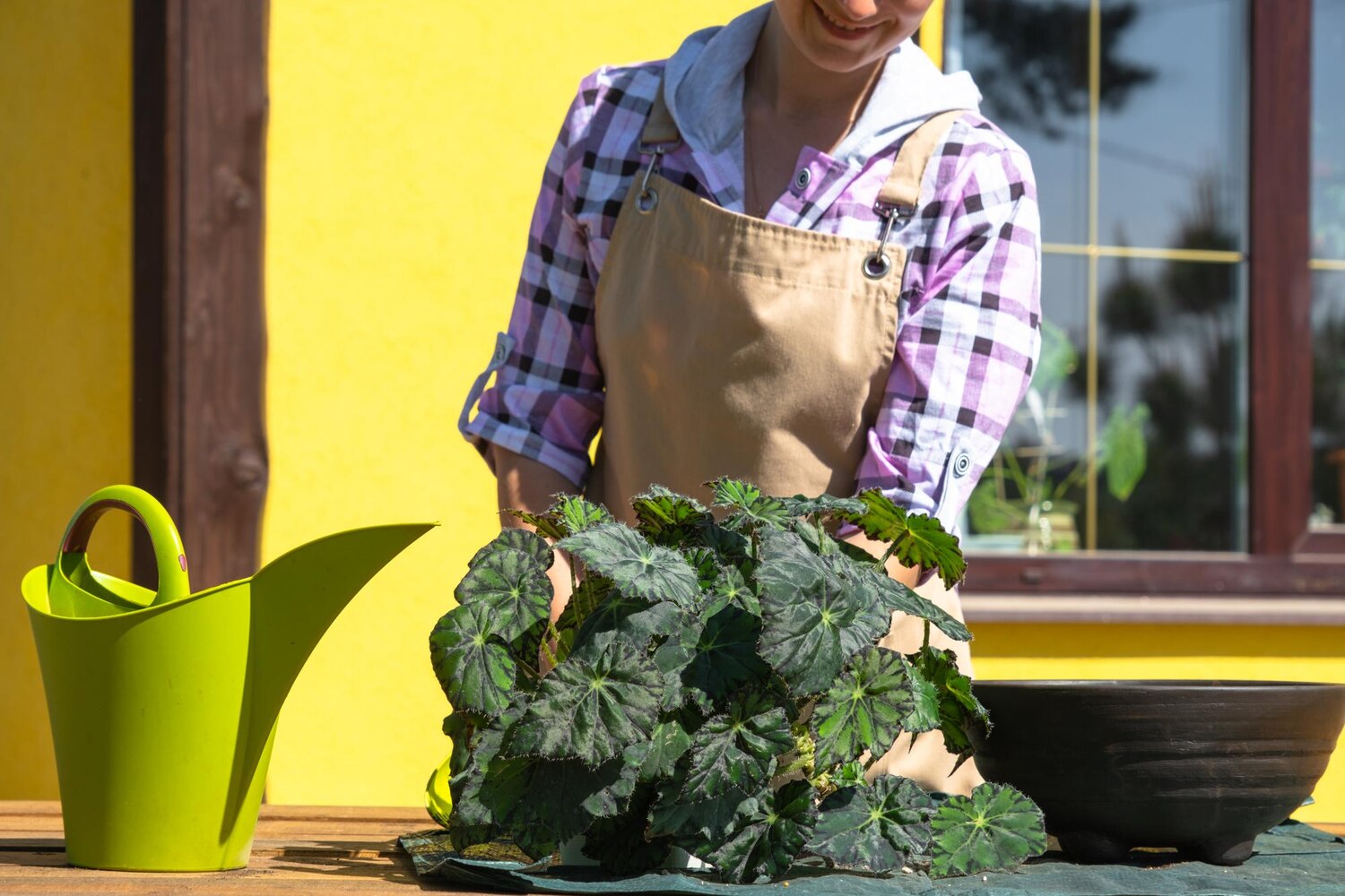 záhradník starajúci sa o zeleninu, zelená záhrada, pestovanie, udržateľnosť
