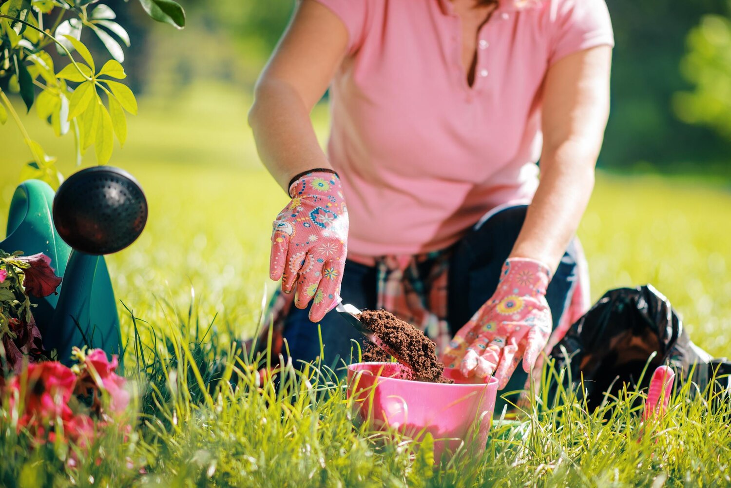 ekologická záhrada, prírodné hnojenie, organická starostlivosť